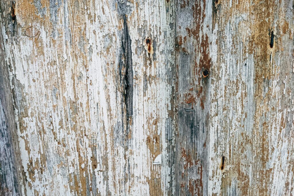 Close up of weathered wood
